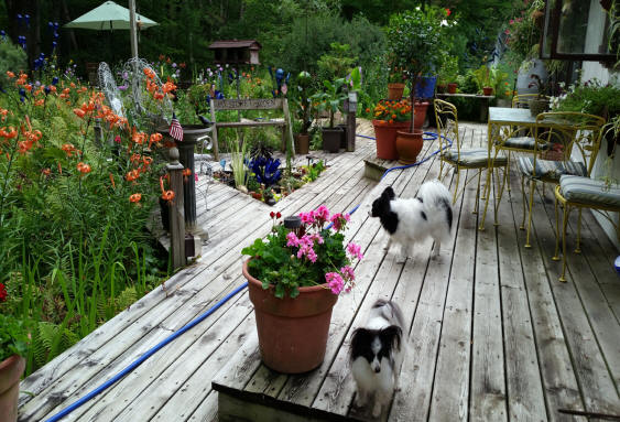 Garden Walk