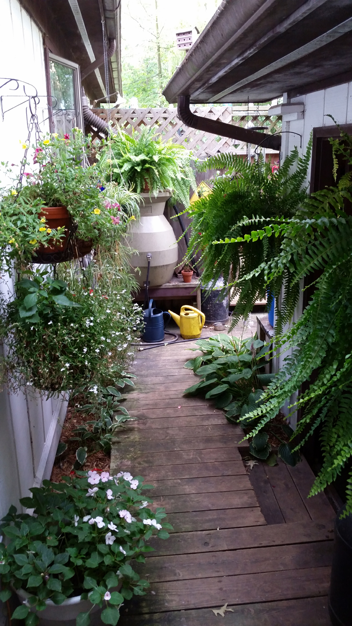 Garden Walk