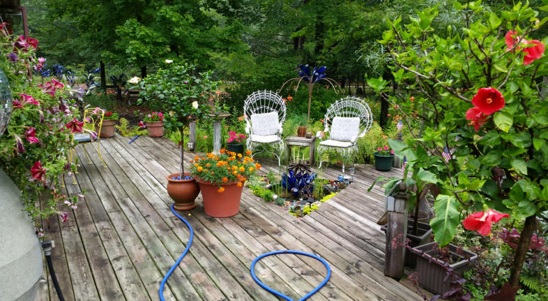 Garden Walk