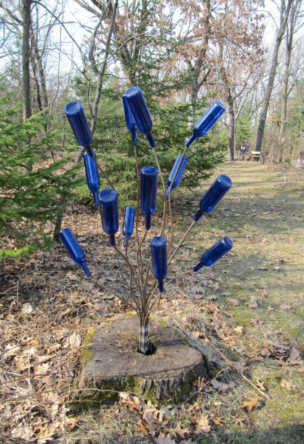 Crooked Bottle Tree